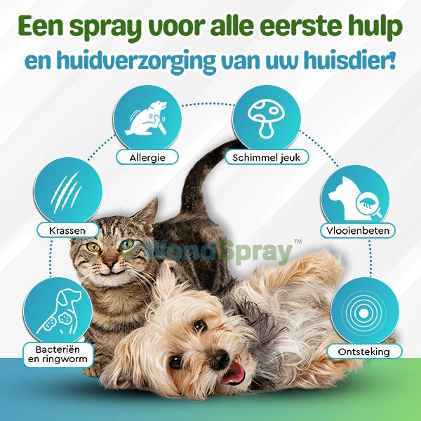 WondSpray™ Antibacteriële Verlichtingsspray Voor Huisdieren
